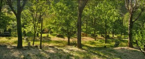 Camping